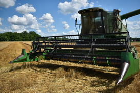 Погодные дисбалансы: что помогло украинским аграриям спасти урожай