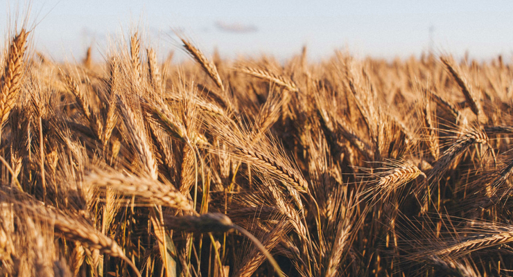 Tomasz Filipek / unsplash.com