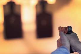 МВД автоматизировало предоставление админуслуг в сфере лицензирования