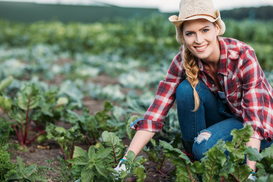 Украина входит в топ-5 поставщиков органической продукции в ЕС