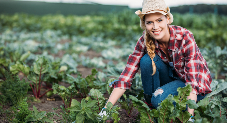Иллюстративное фото / depositphotos.com