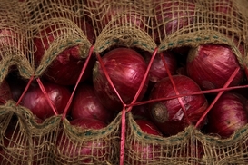 Цены самые низкие за 4 года: один из базовых овощей дешевеет