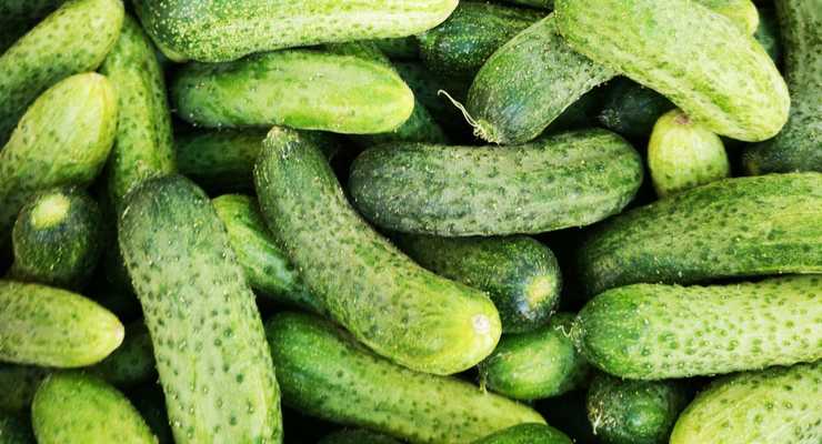 Chantal Garnier  / unsplash.com