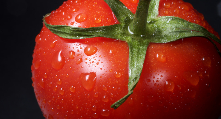 Immo Wegmann  / unsplash.com