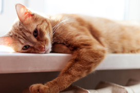 Облачно, местами дождь и заморозки: какой будет погода 14 октября