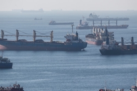 Экспорт агропродукции: Украина и ЕС одобрили обновленные условия торговли