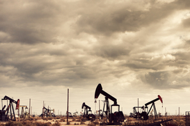 Индийские НПЗ готовятся сократить закупки российской нефти - СМИ