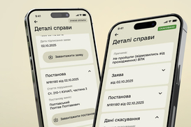 Штрафы онлайн: в приложении "Резерв+" вышло обновление