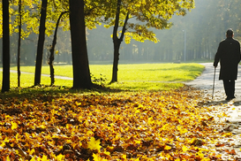 Погода готовит резкий поворот: что ждет украинцев 17-19 октября