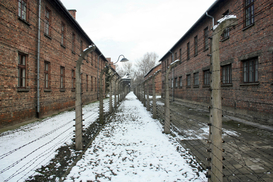 В РФ количество арестов чиновников бьет рекорды: кто попал под раздачу