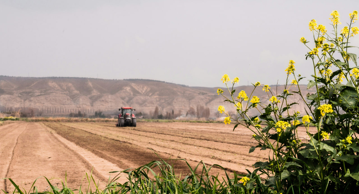 Marta Ortigosa / unsplash.com