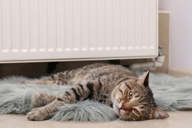 Готовимся к изменениям: 24 октября в Украину придут дожди и сильный ветер