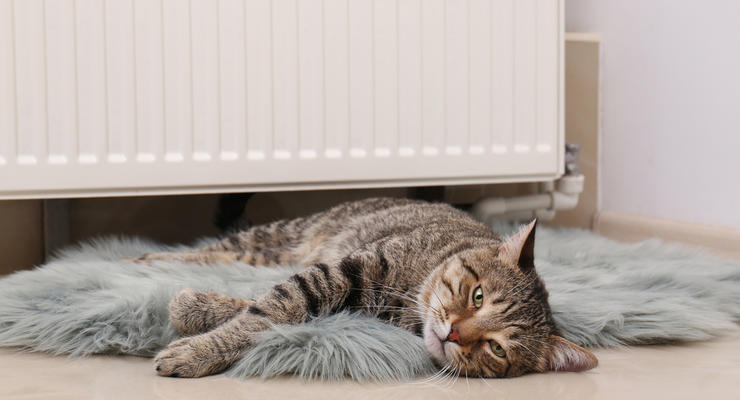 Иллюстративное фото / depositphotos.com