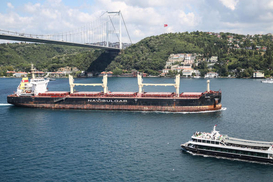 Увеличен объем квот на экспорт украинской агропродукции в ЕС