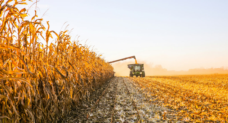 Hannah Shedrow / unsplash.com