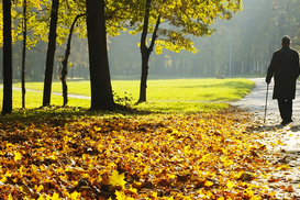 Погода радует в конце октября: в четверг до +18 и без дождей