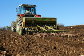 Аграрии не останавливаются: как проходит посевная в Украине