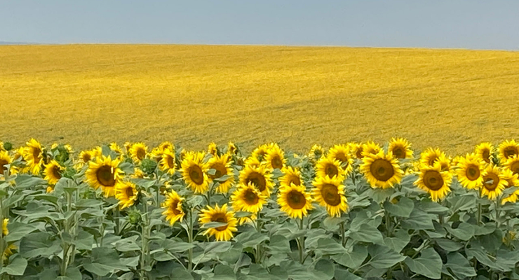 JOGsplash / unsplash.com