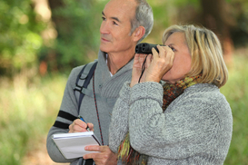 Пенсия в 2025-м: хватит ли вашего стажа для выхода на заслуженный отдых