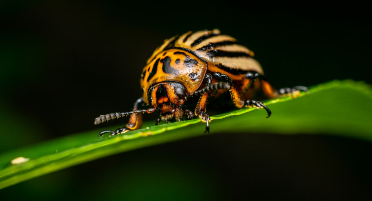 Jurjen Vos  / unsplash.com