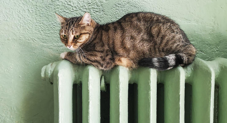 Иллюстративное фото / depositphotos.com