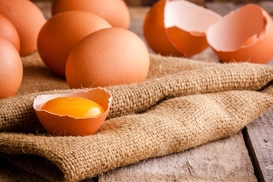 Украинские яйца пользуются спросом в Испании, Чехии и Британии