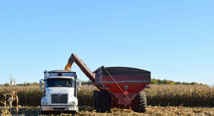 Ginger Jordan  / unsplash.com