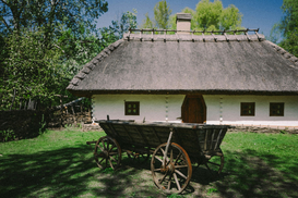 Вместо веников по 50 грн – абажур за 2000 евро: как может жить украинское село