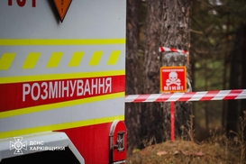 Разминирование: в Украине очистили более 34 тыс га сельхозземель