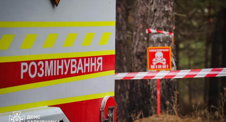 Иллюстративное фото / t.me/dsns_telegram