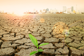 РФ ведет грязную войну: Украина потребует компенсации за климатические убытки