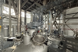 На Житомирщине запустили производство биоклея из гороха: что известно