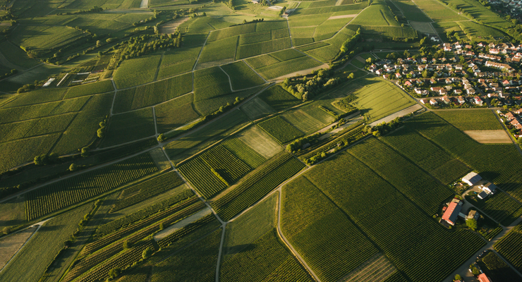 Ілюстративне фото / depositphotos.com