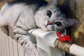 Отопительный сезон: в Украине 96% жилых домов уже с теплом