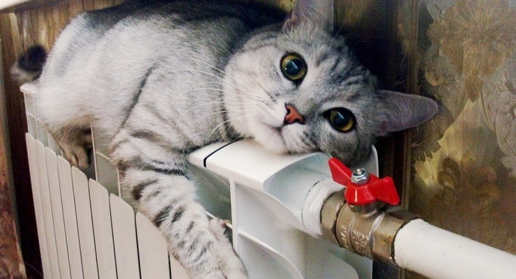 Ілюстративне фото / flickr.com