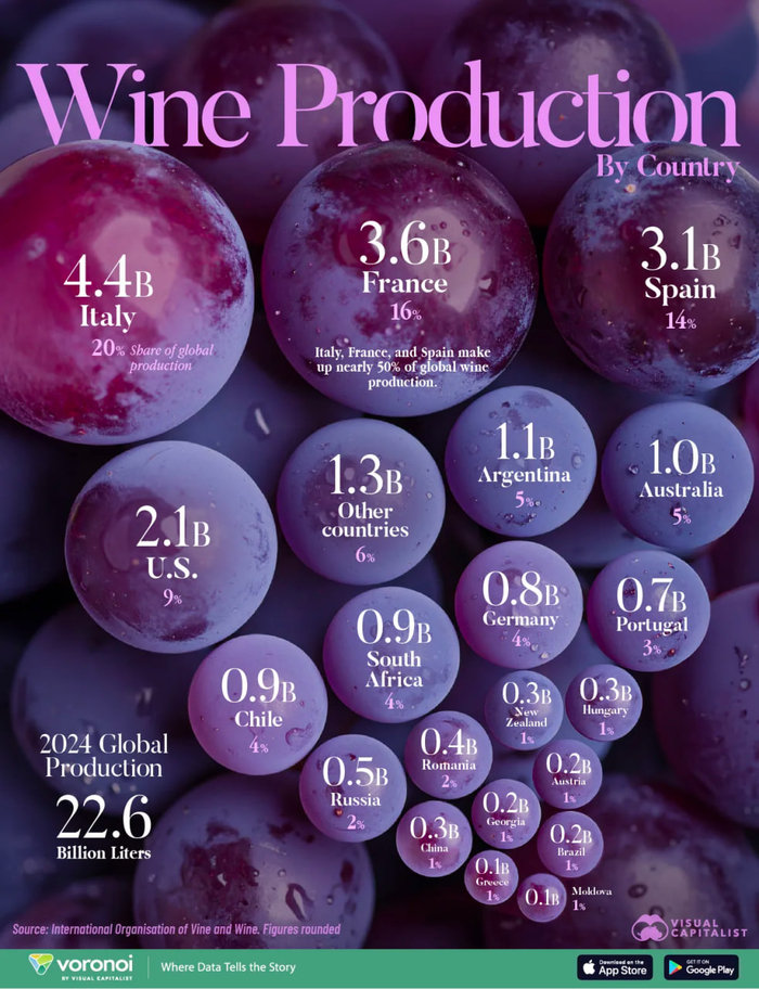 інфографіка