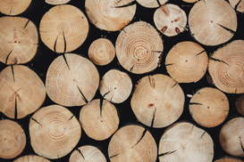 Дрова по социальным ценам: где и за сколько можно купить в ноябре