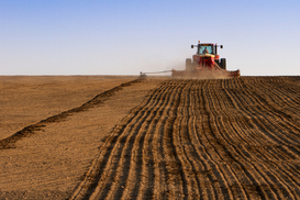 Сев озимых близится к завершению: какие области в лидерах