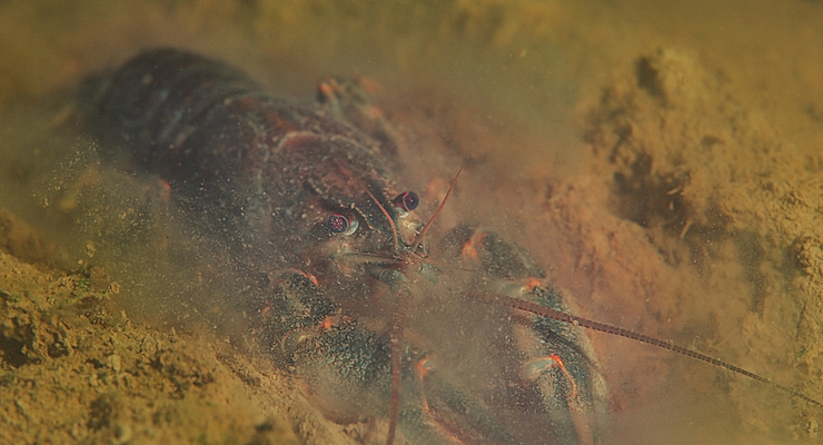 Иллюстративное фото / depositphotos.com