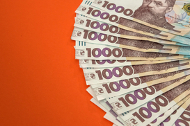 "Зимняя" 1000 грн: заявки уже подали более 13 млн украинцев