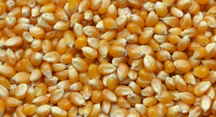 Pierre Bamin / unsplash.com