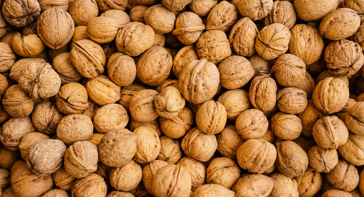 Tom Hermans  / unsplash.com