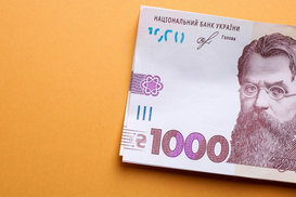 Большой спрос на помощь: уже 14 млн украинцев подали заявки на 1000 грн