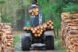 Ключевая отрасль экономики РФ страдает от санкций: подробности от разведки
