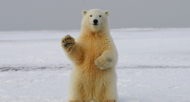 Hans-Jurgen Mager / unsplash.com