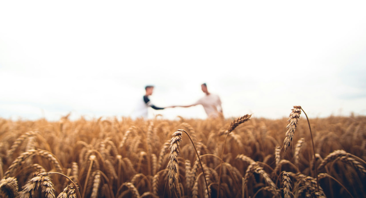 Warren  / unsplash.com