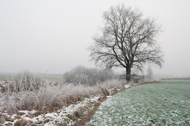 Украину 9 декабря накроют дожди и мокрый снег: где будет холоднее всего