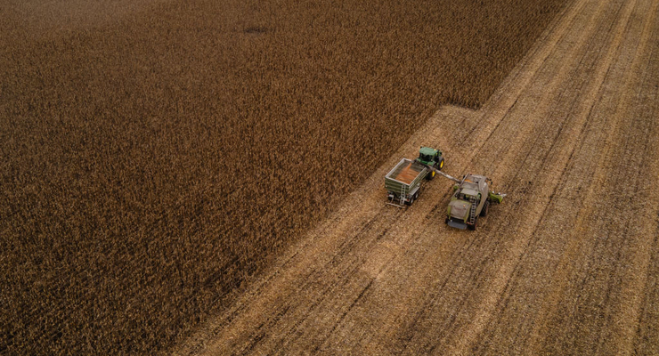 Иллюстративное фото / Getty Images