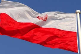 Украинские беженцы в Польше: большинство работает, зарплаты растут