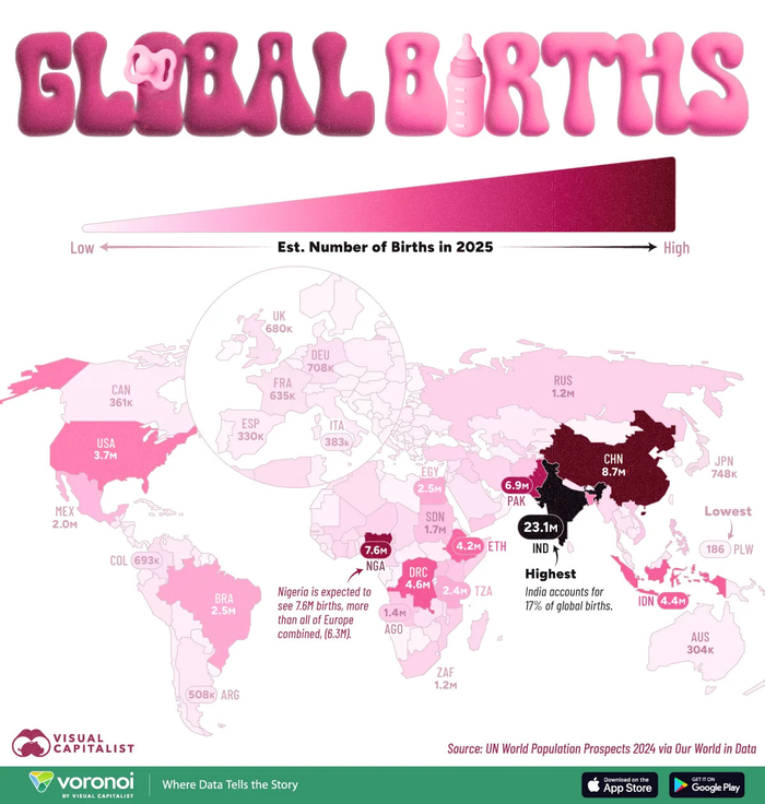 інфографіка
